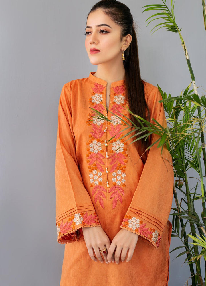 Resham Ghar Casual Pret Embroidered Lawn 2 Piece Suit BR2PC-08