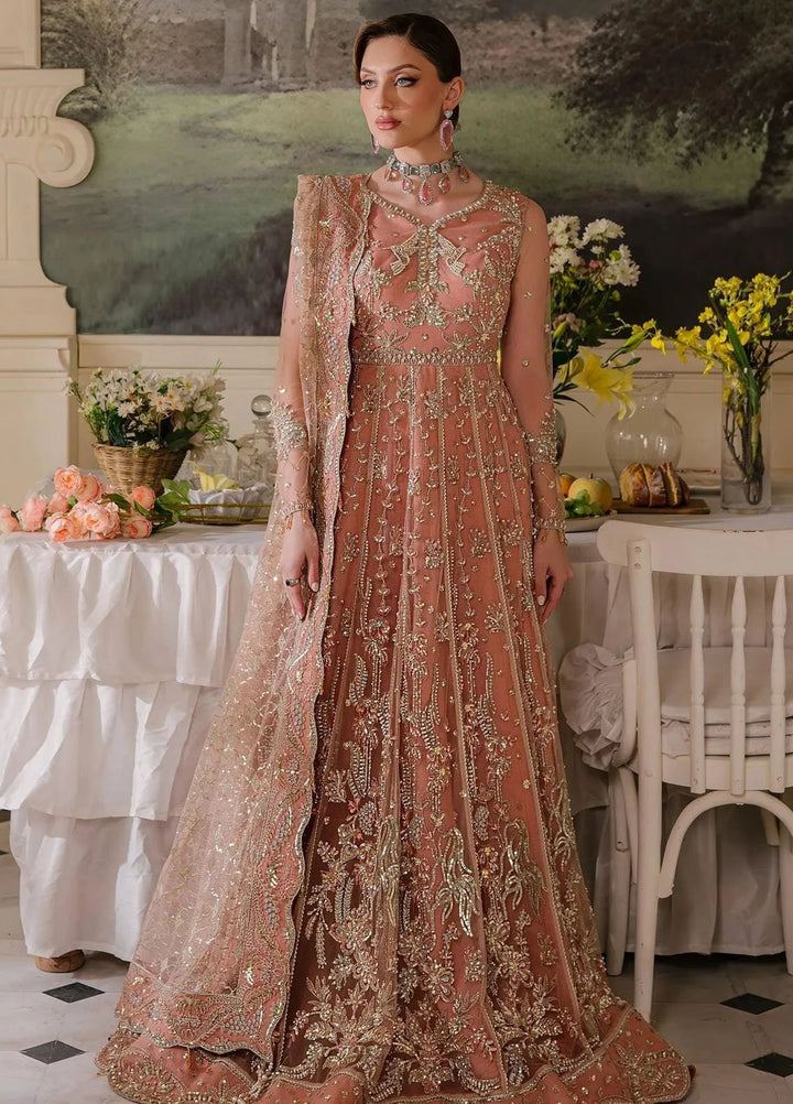 Reve Royal by Fabiha Fatima Pret Embellished Net 3 Piece Suit Spinel