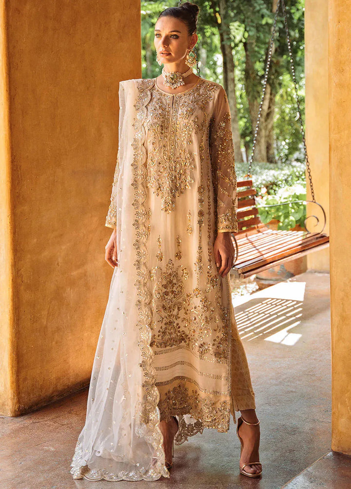 Riwayat by Maryum N Maria Embroidered Net Suits Unstitched 3 Piece MNM24RW Bhakthi MW24-560 - Formal Collection