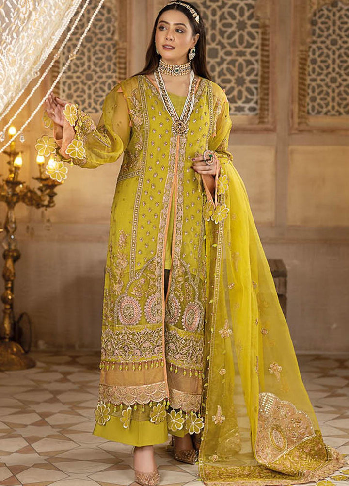 Safiinah By Resham Raaj Embroidered Organza Suits Unstitched 3 Piece RMR23S RR-08 Chandni - Luxury Collection