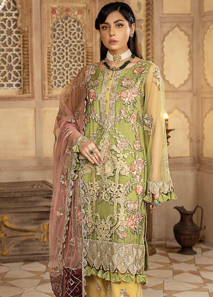 Safiinah By Resham Raaj Embroidered Net Suits Unstitched 3 Piece RMR23S RR-10 Nazneen - Luxury Collection