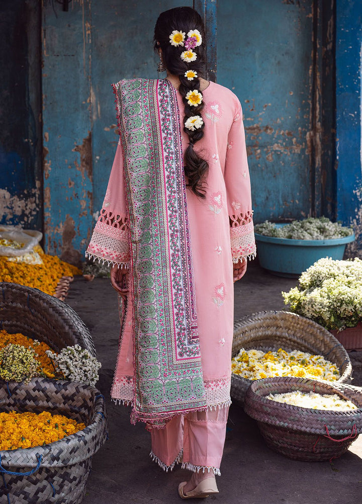 Sahakari by Sahane Embroidered Lawn Suits Unstitched 3 Piece SNE24SK CT-10004 Mohini - Summer Collection