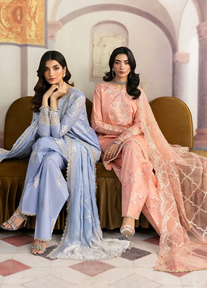 Sahane Embroidered Raw Silk Suits Unstitched 3 Piece SNE24TG TSG-05 Abyss - Festive Collection
