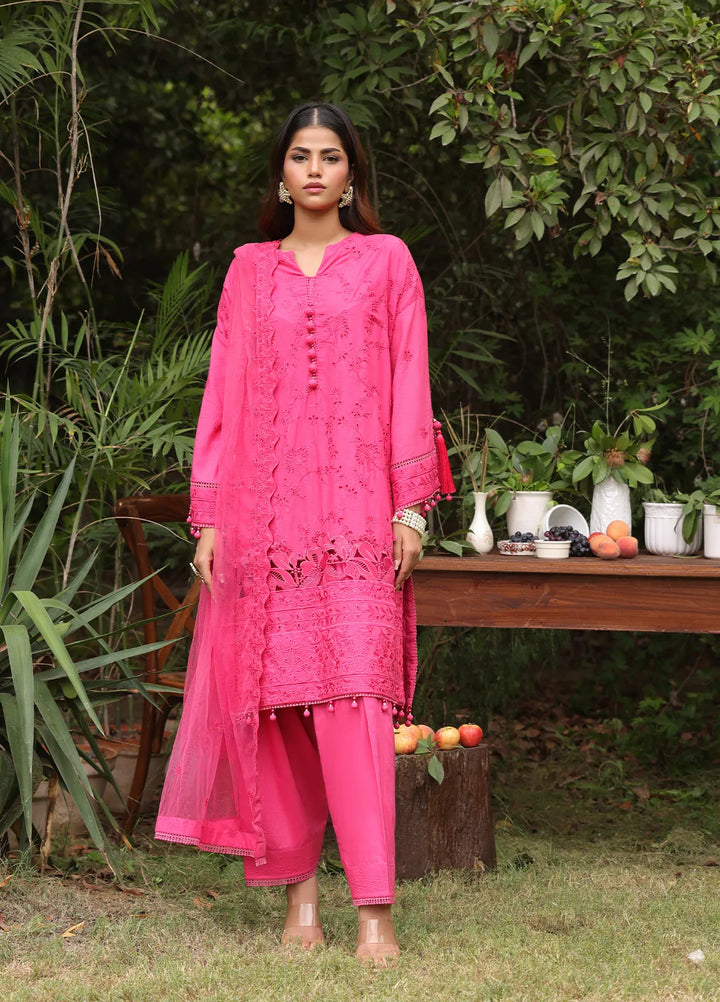 Salitex Embroidered Cambric Suits Unstitched 3 Piece UNS24CK016UT - Summer Collection