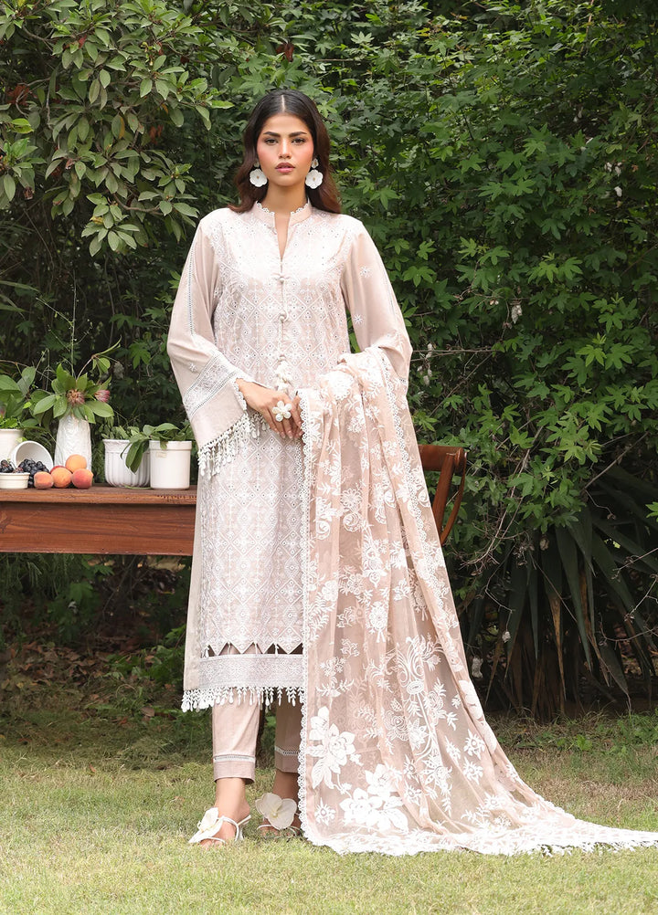 Salitex Embroidered Cambric Suits Unstitched 3 Piece UNS24CK017UT - Summer Collection