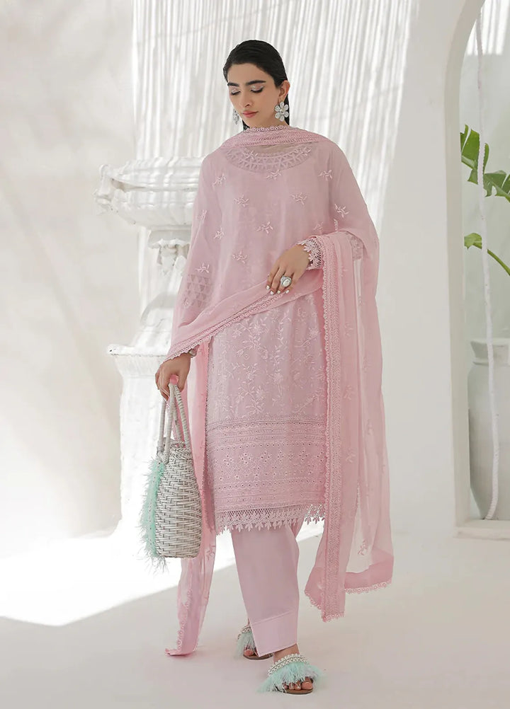 Salitex Embroidered Lawn Suits Unstitched 3 Piece UNS24CK003UT - Festive Collection