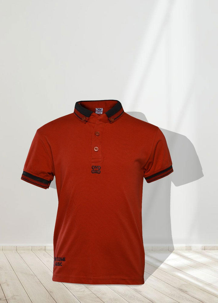Sanaulla Exclusive Range   T-Shirts for Boys -  1111225148 Rust