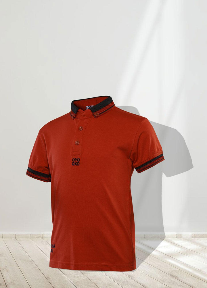Sanaulla Exclusive Range   T-Shirts for Boys -  1111225148 Rust