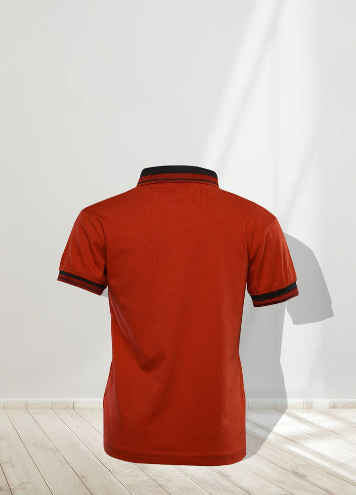 Sanaulla Exclusive Range   T-Shirts for Boys -  1111225148 Rust