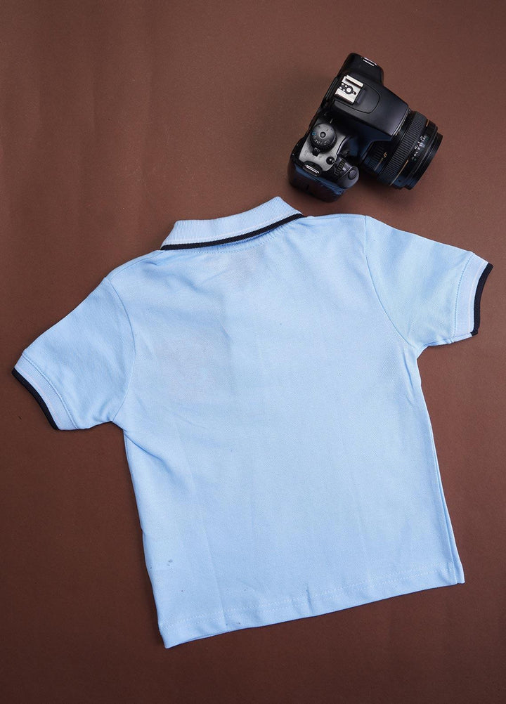 Sanaulla Exclusive Range Cotton Casual T-Shirts for Boys -  88 Sky Blue