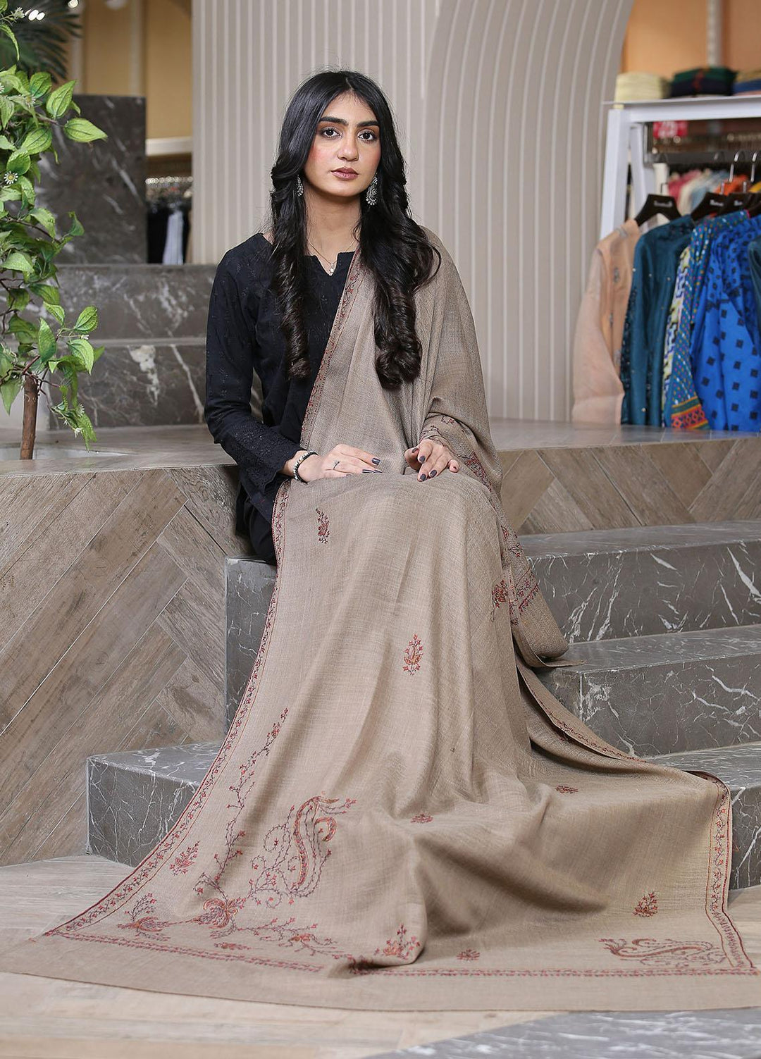 Sanaulla Exclusive Range  Pashmina  KPS 781 D-40 Brown - Women Shawls