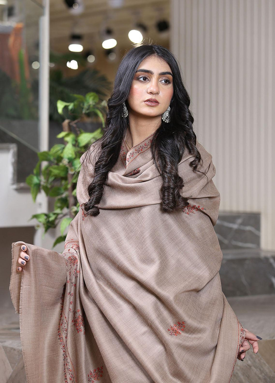 Sanaulla Exclusive Range  Pashmina  KPS 781 D-40 L Brown - Women Shawls