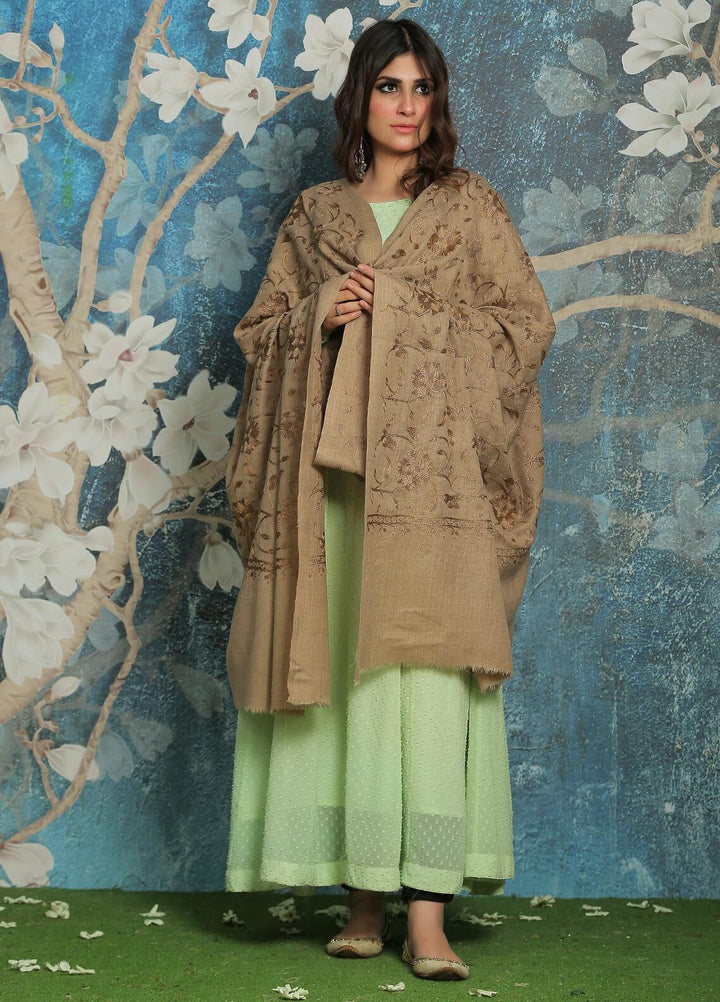 Sanaulla Exclusive Range  Pashmina  Shawl SU21PP AKP-10 Beige-2 - Pure Pashmina Shawls