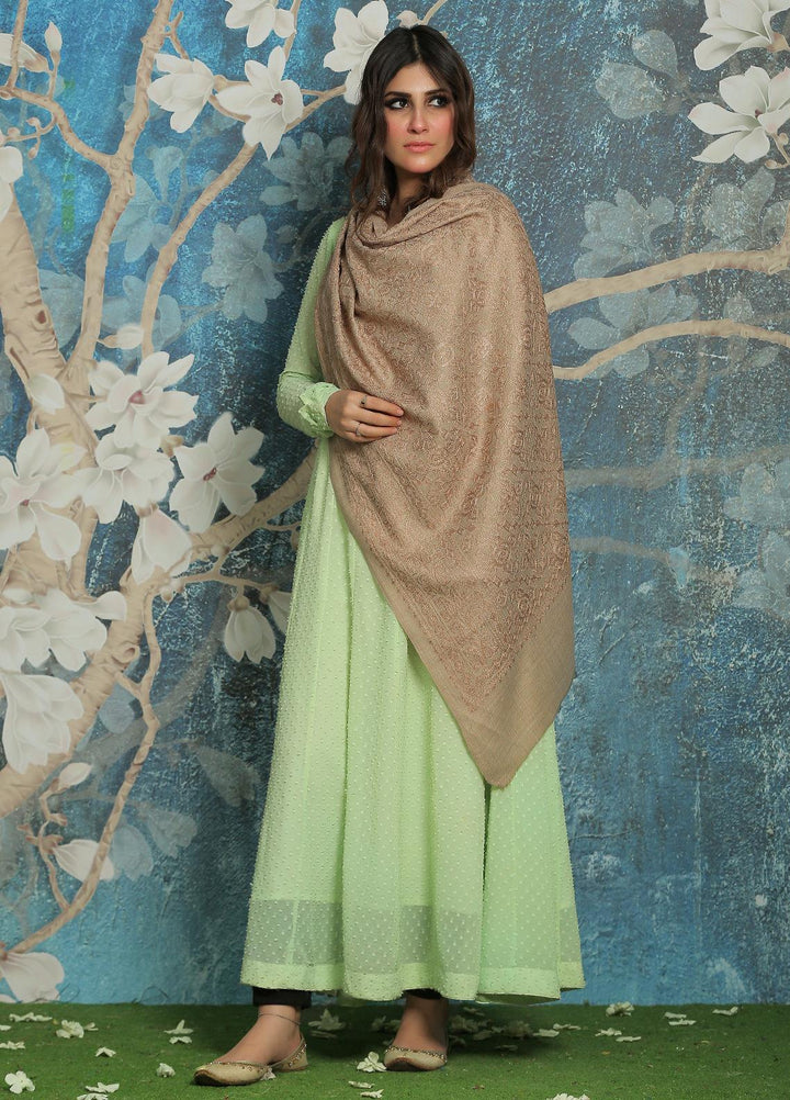 Sanaulla Exclusive Range  Pashmina  Shawl SU21PP AKP-23 L Brown-13 - Pure Pashmina Shawls