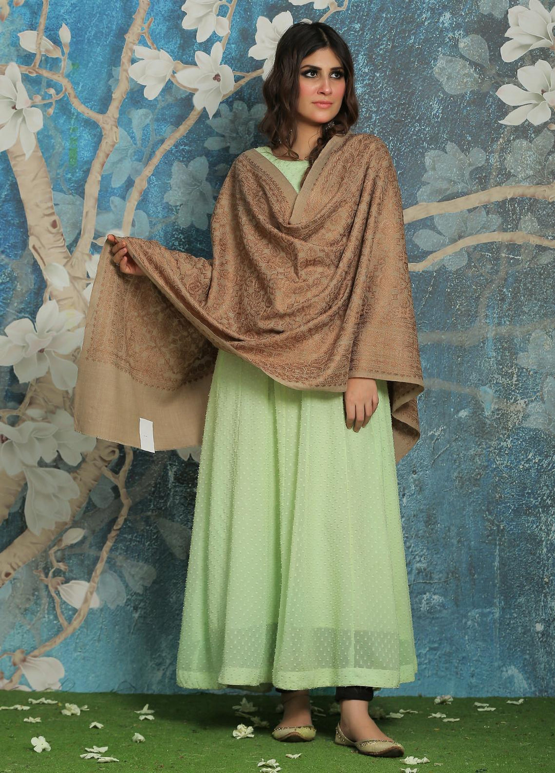 Sanaulla Exclusive Range  Pashmina  Shawl SU21PP AKP-23 L Brown-17 - Pure Pashmina Shawls