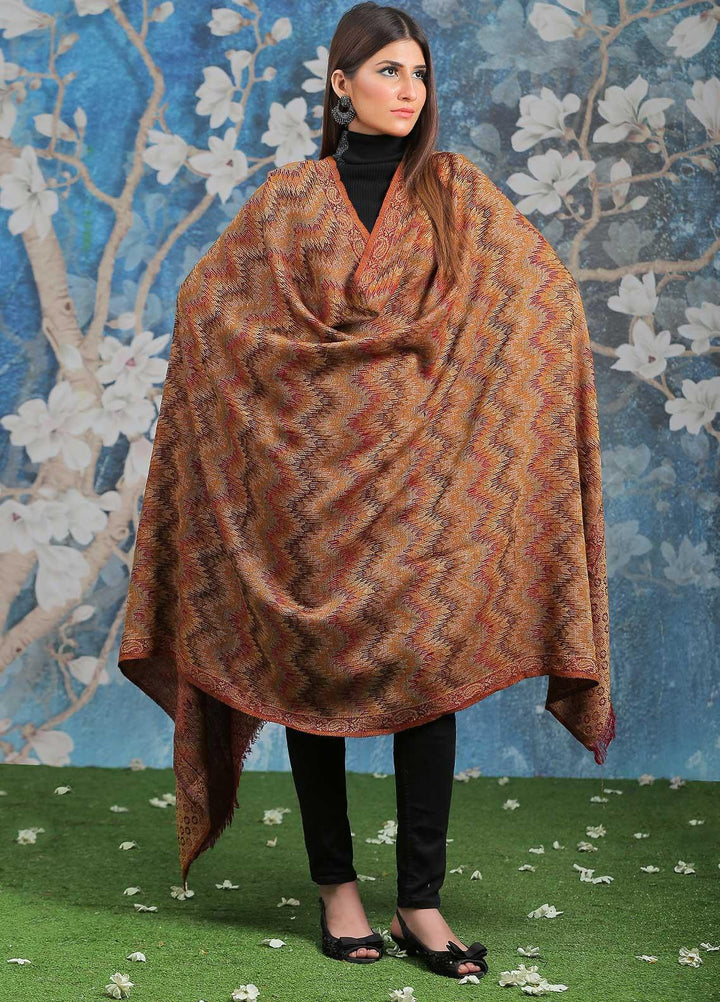 Sanaulla Exclusive Range  Pashmina  Shawl SU21PP AKP-50 Brown-4 - Pure Pashmina Shawls