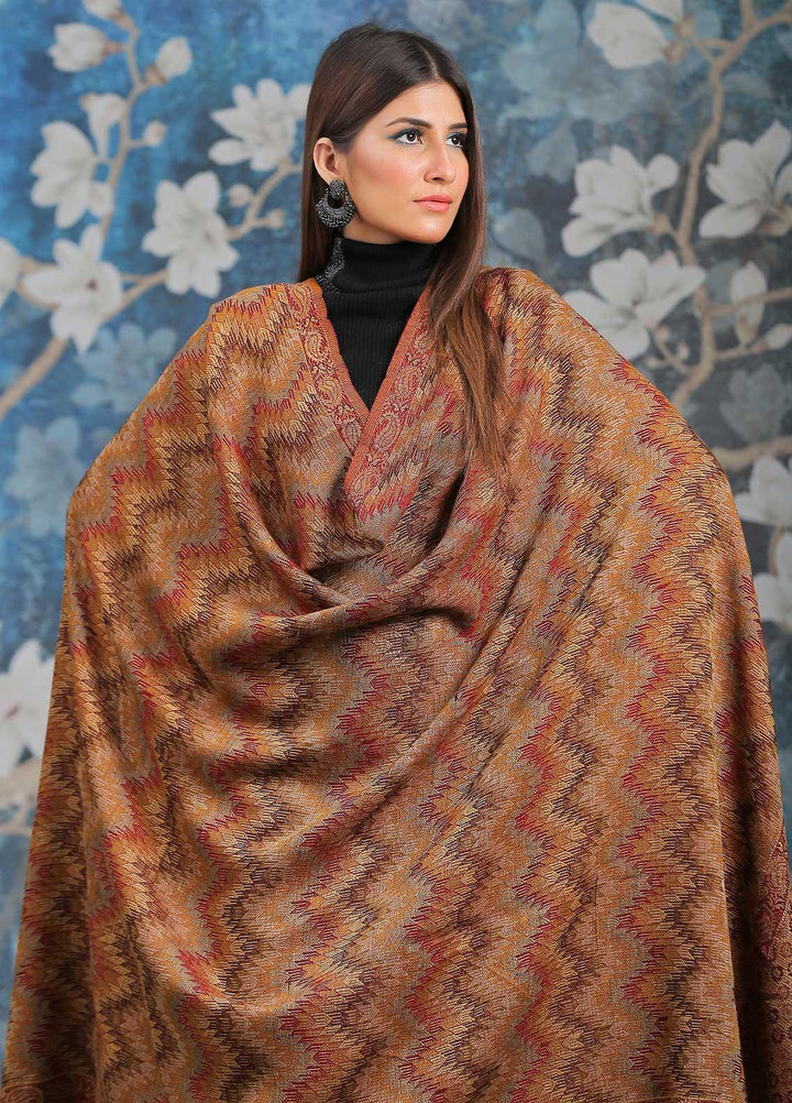 Sanaulla Exclusive Range  Pashmina  Shawl SU21PP AKP-50 Brown-4 - Pure Pashmina Shawls
