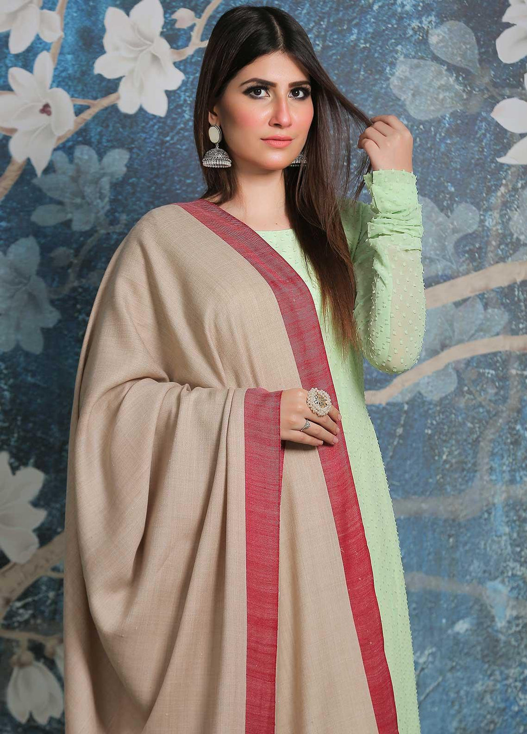 Sanaulla Exclusive Range Pashmina Shawl SU21PP  MIR-753-Beige Pure Pashmina Shawls