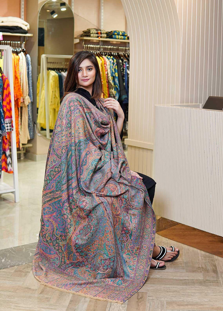 Sanaulla Exclusive Range  Pashmina  Shawls MAMA-42 Multi-4 - Pashmina Shawls