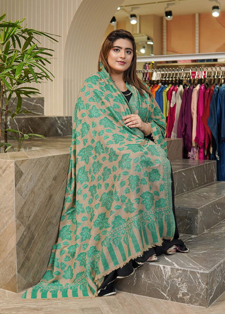 Sanaulla Exclusive Range  Pashmina  Shawls MAMA-06 Green      - Pashmina Shawls