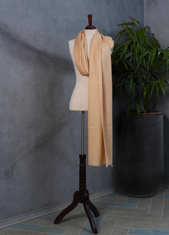 Sanaulla Exclusive Range  Pashmina  Shawls SU22PS-3 D-137 L/Brown - Pashmina Shawls