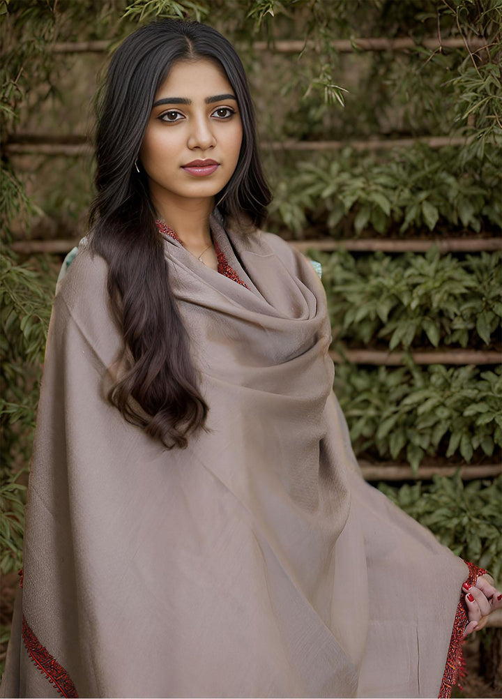 Sanaulla Exclusive Range  Pashmina  Mama D-22 Brown - Women Shawls