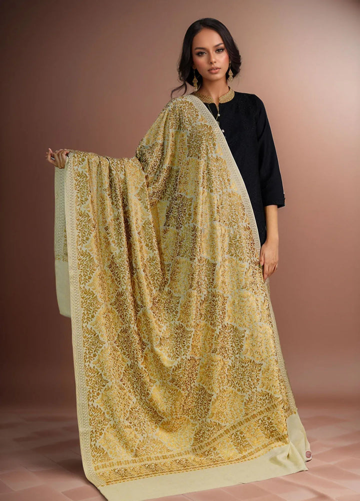 Sanaulla Exclusive Range Pashmina Shawl D-26 Cream - Winter Collection