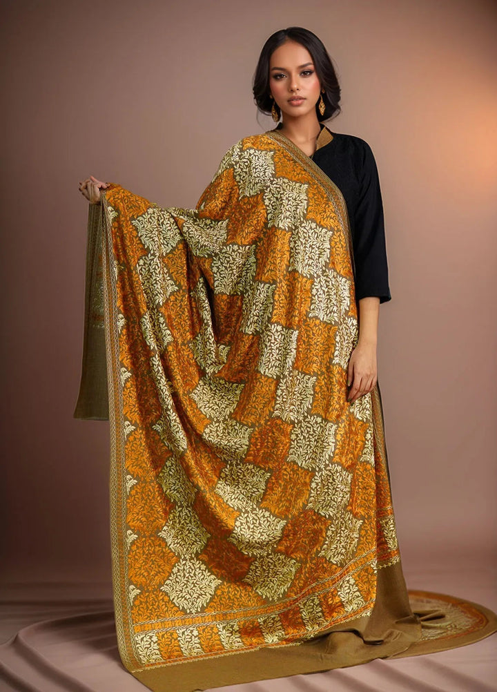 Sanaulla Exclusive Range Pashmina Shawl D-26 Dark Brown 1 - Winter Collection