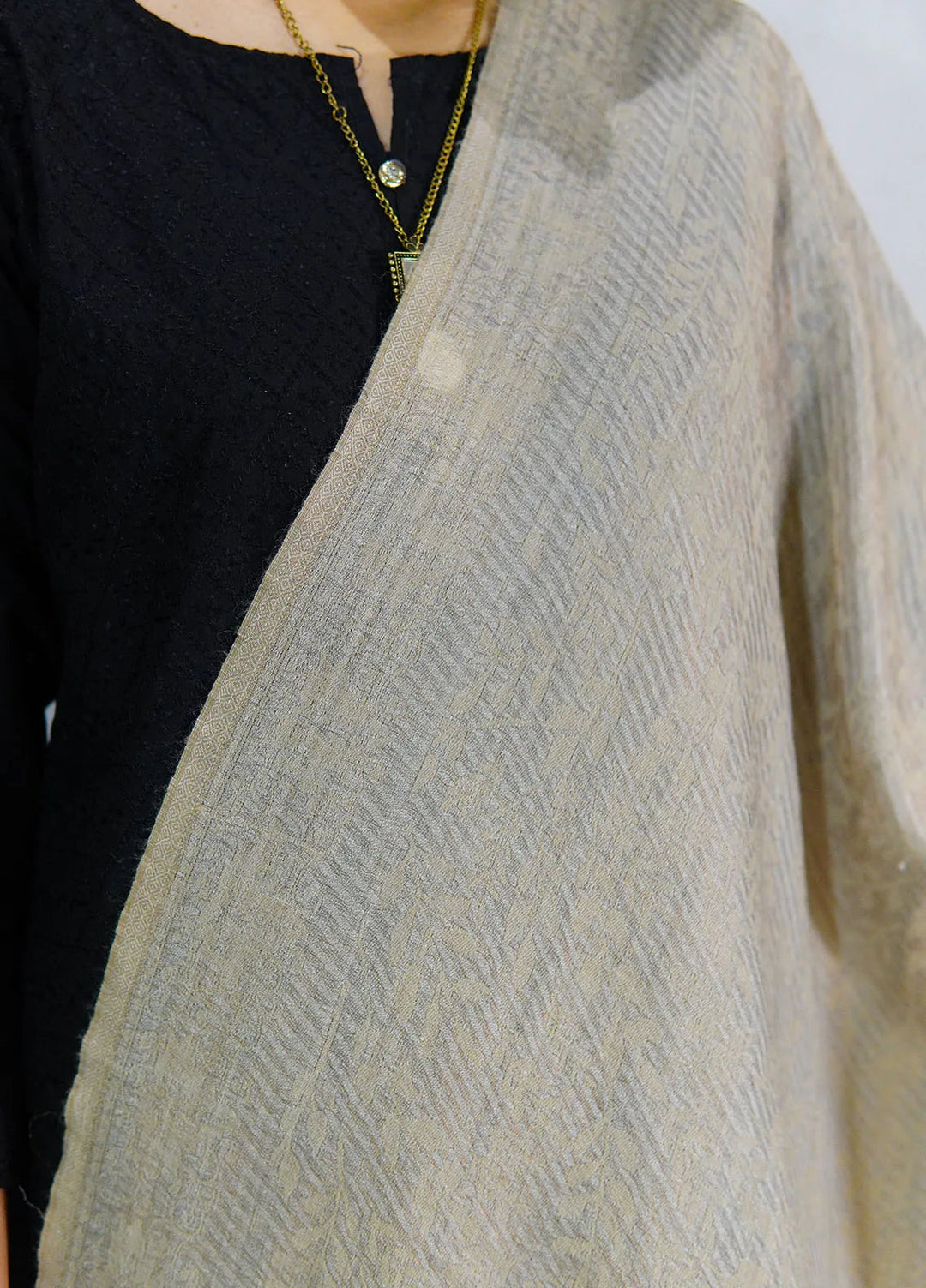 Sanaulla Exclusive Range Pashmina Shawl D-28 Fawn - Winter Collection