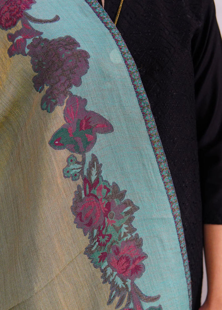 Sanaulla Exclusive Range Pashmina Shawl D-54 Light Green - Winter Collection