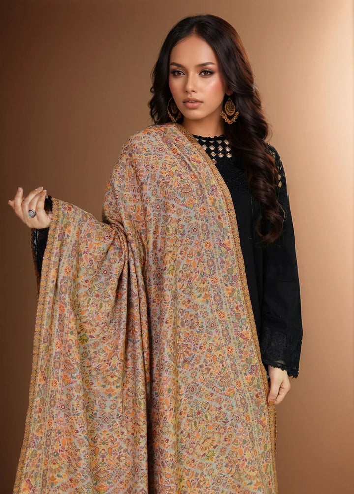 Sanaulla Exclusive Range Pashmina Shawl KPS D-18 Multi 10 - Winter Collection