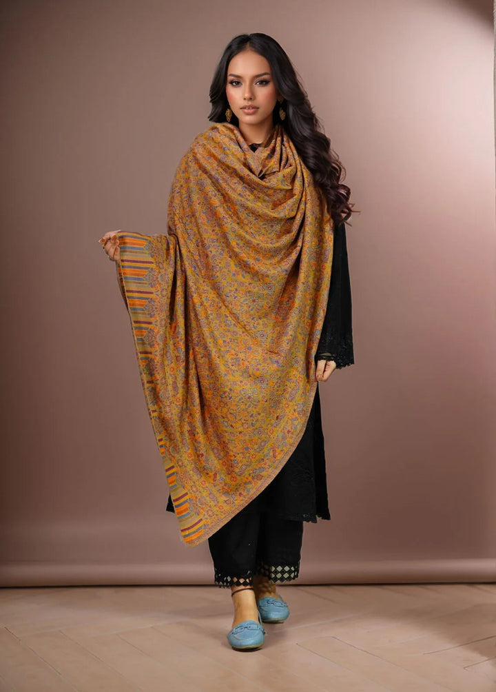Sanaulla Exclusive Range Pashmina Shawl KPS D-18 Multi 15 - Winter Collection