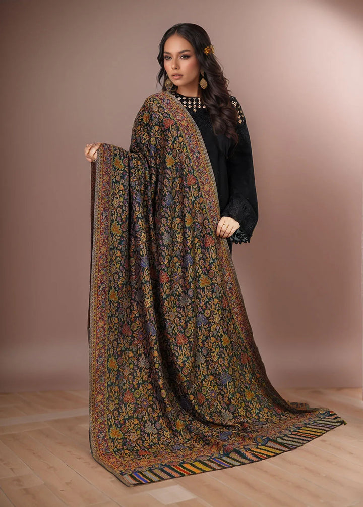 Sanaulla Exclusive Range Pashmina Shawl KPS D-18 Multi 19 - Winter Collection