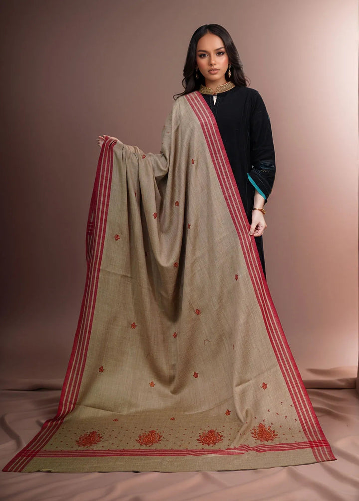 Sanaulla Exclusive Range Pashmina Shawl KPS D-2 Brown 1 - Winter Collection
