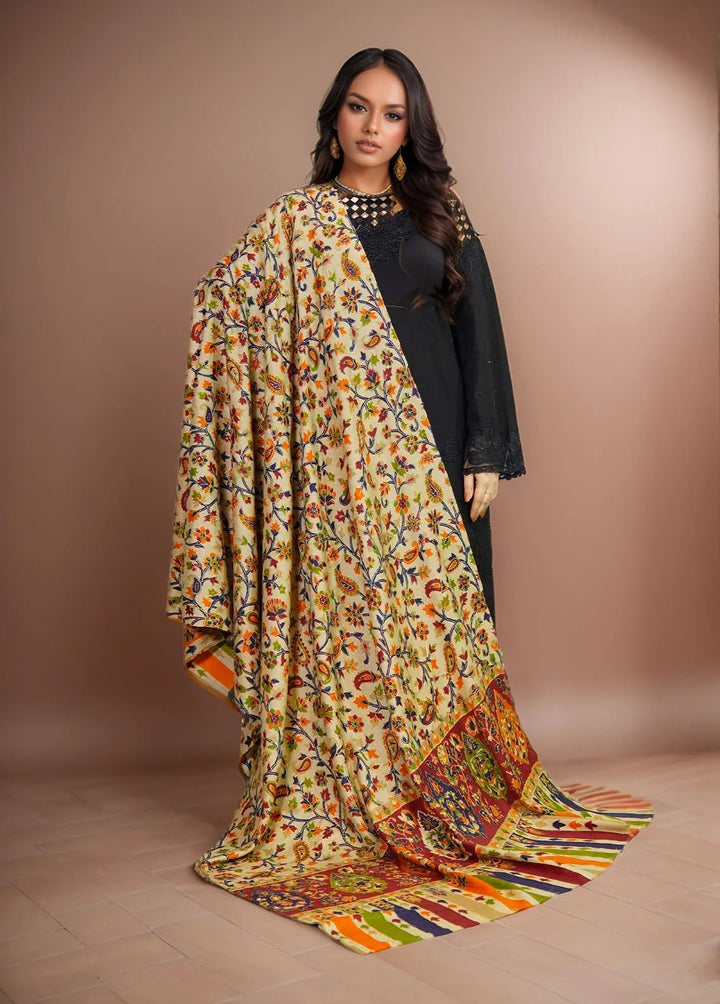 Sanaulla Exclusive Range Pashmina Shawl KPS D-27 Multi 3 - Winter Collection