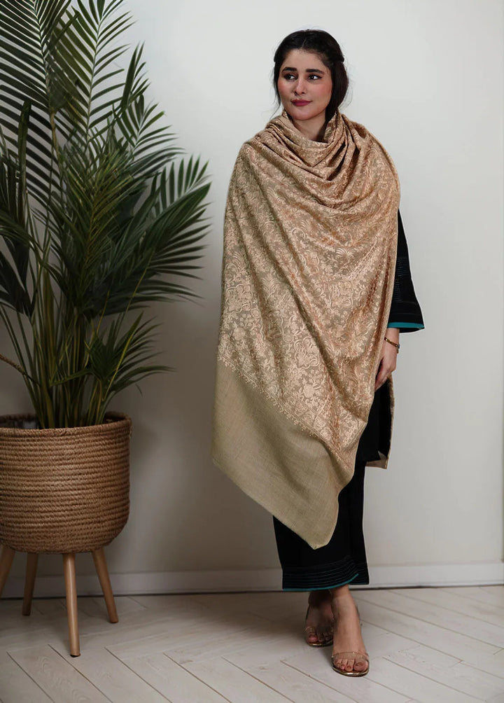 Sanaulla Exclusive Range Pashmina Shawl KPS D-35 Brown 1 - Winter Collection