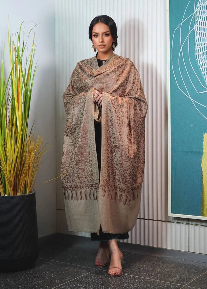 Sanaulla Exclusive Range Pashmina Shawl KPS D-35 Brown 2 - Winter Collection