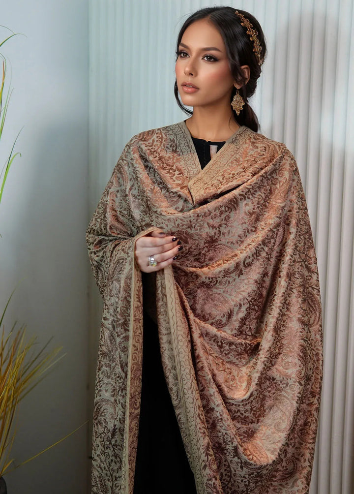 Sanaulla Exclusive Range Pashmina Shawl KPS D-35 Brown 2 - Winter Collection
