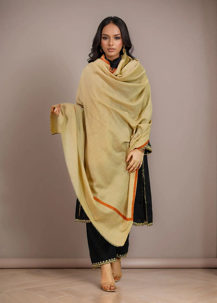 Sanaulla Exclusive Range Pashmina Shawl KPS D-38 Brown 1 - Winter Collection