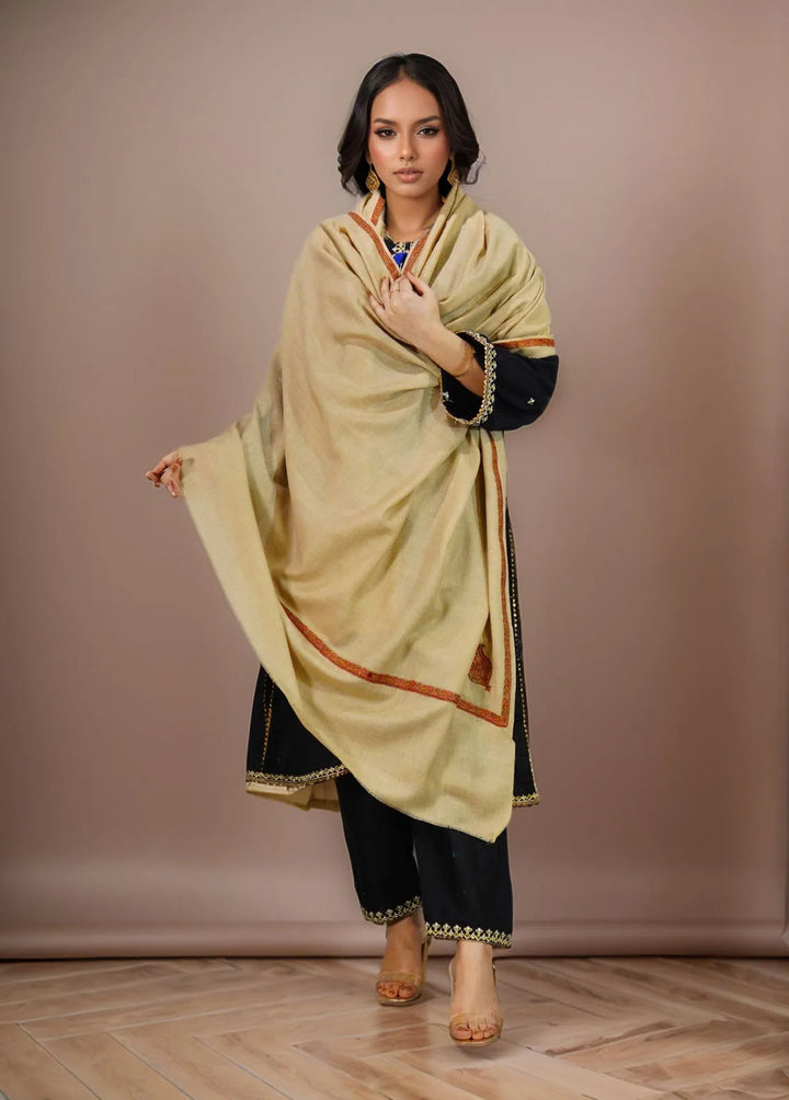Sanaulla Exclusive Range Pashmina Shawl KPS D-38 Brown 2 - Winter Collection