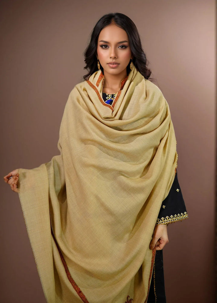 Sanaulla Exclusive Range Pashmina Shawl KPS D-38 Brown 2 - Winter Collection