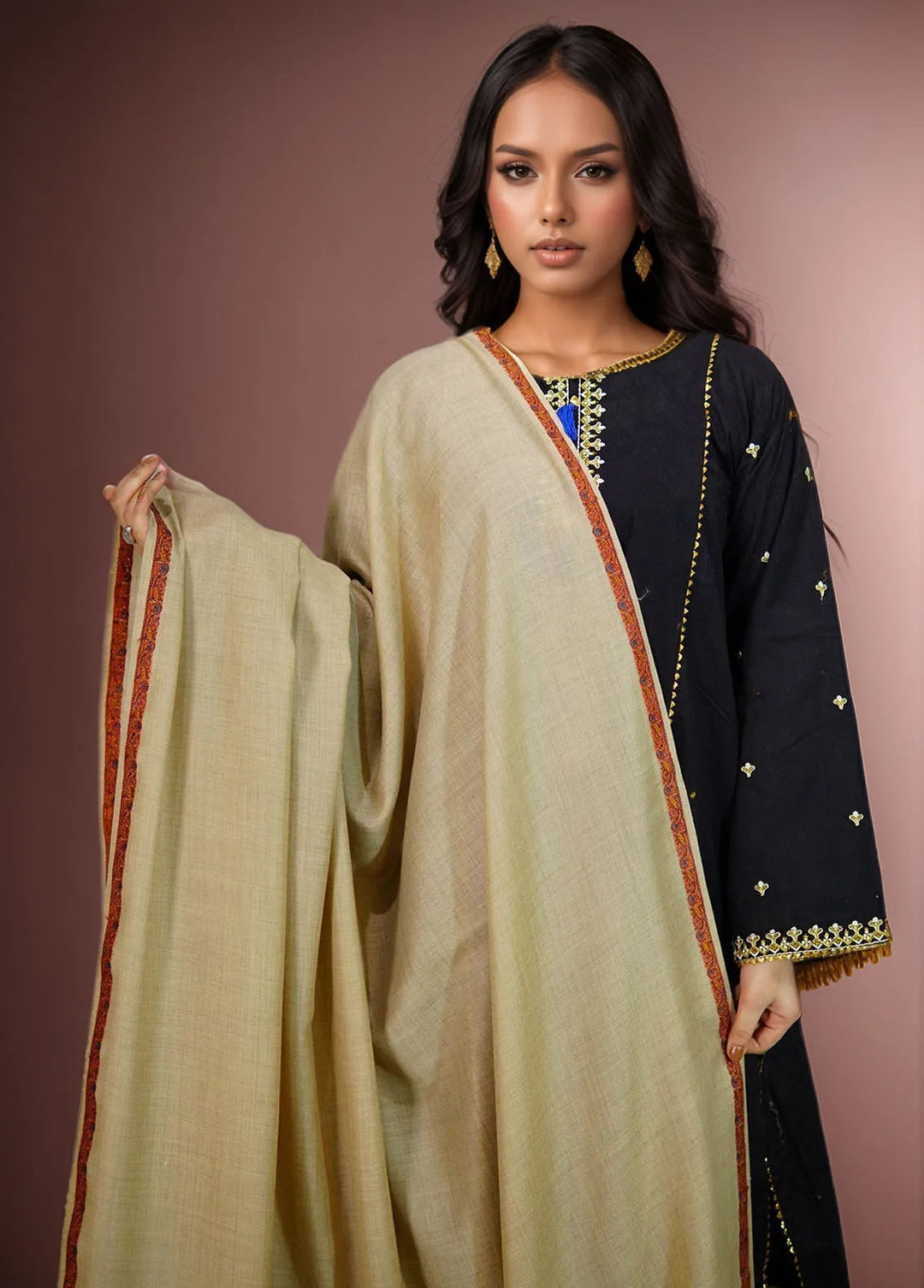 Sanaulla Exclusive Range Pashmina Shawl KPS D-38 Brown 4 - Winter Collection