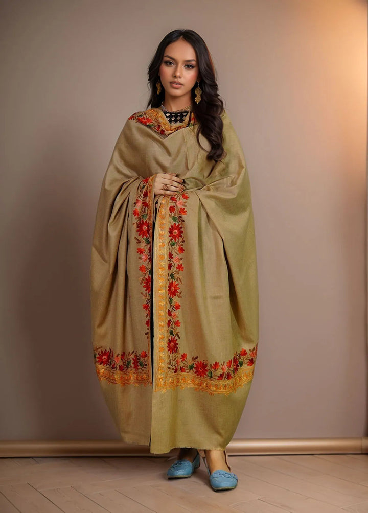 Sanaulla Exclusive Range Pashmina Shawl KPS D-4 Brown 4 - Winter Collection