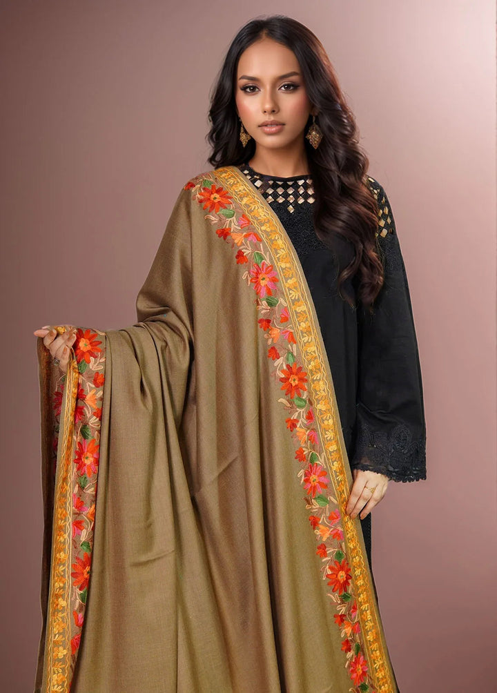 Sanaulla Exclusive Range Pashmina Shawl KPS D-4 Dark Brown - Winter Collection