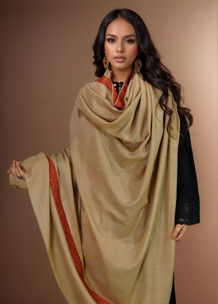 Sanaulla Exclusive Range Pashmina Shawl KPS D-41 Brown - Winter Collection