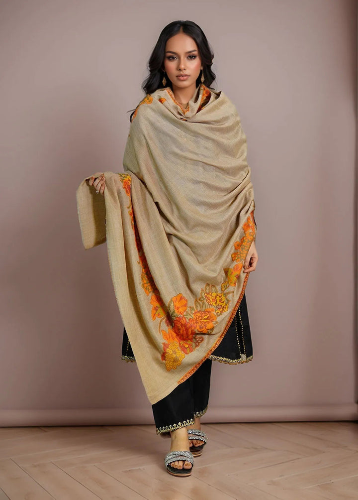 Sanaulla Exclusive Range Pashmina Shawl KPS D-42 Brown 3 - Winter Collection