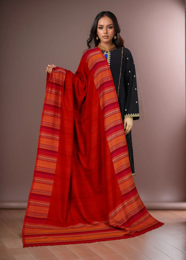 Sanaulla Exclusive Range Pashmina Shawl KPS D-43 Multi 2 - Winter Collection