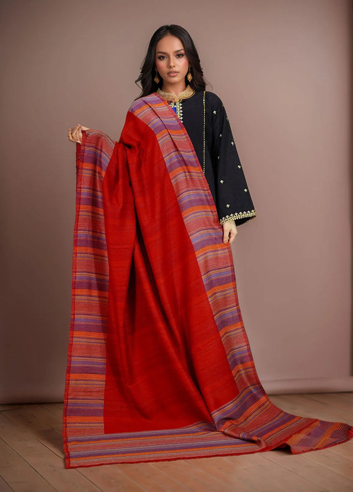 Sanaulla Exclusive Range Pashmina Shawl KPS D-43 Multi 7 - Winter Collection
