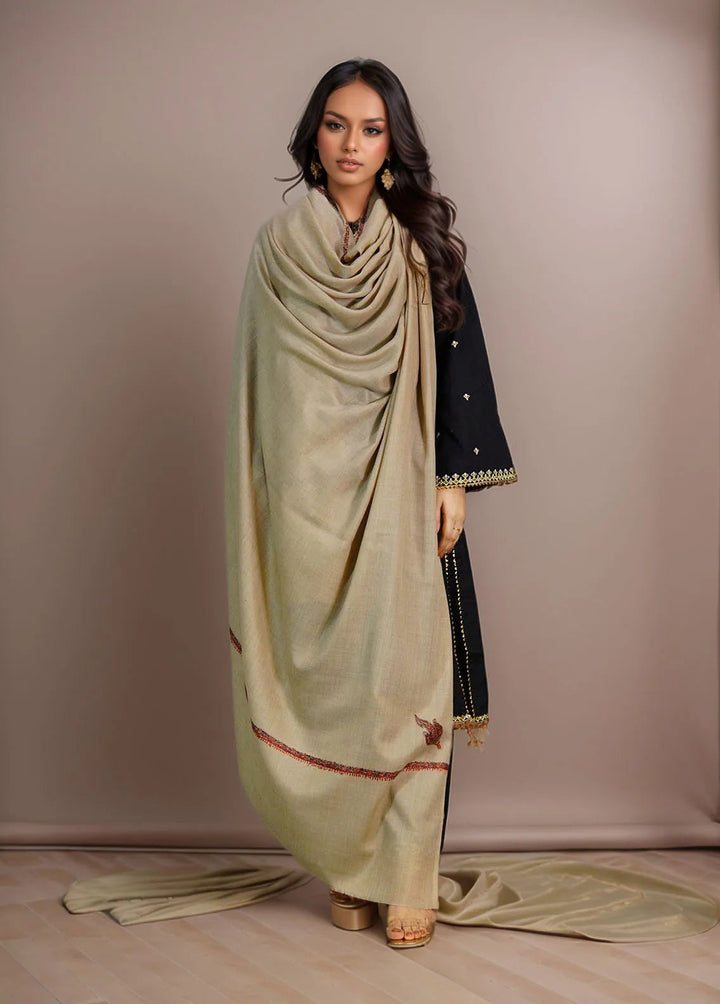 Sanaulla Exclusive Range Pashmina Shawl KPS D-62 Brown - Winter Collection