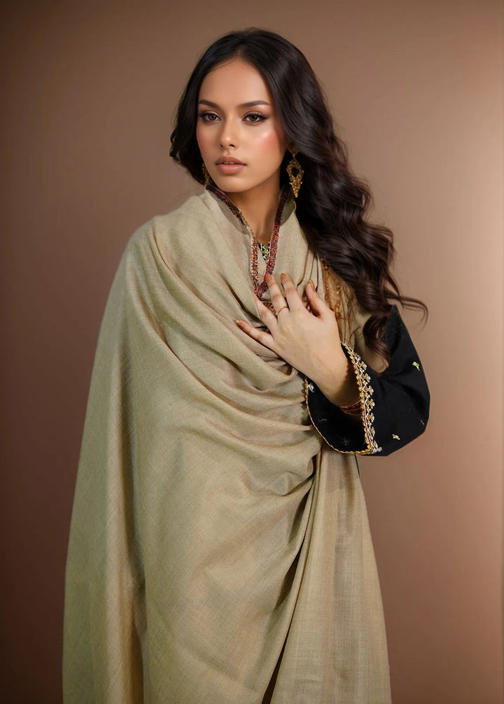 Sanaulla Exclusive Range Pashmina Shawl KPS D-62 Brown - Winter Collection